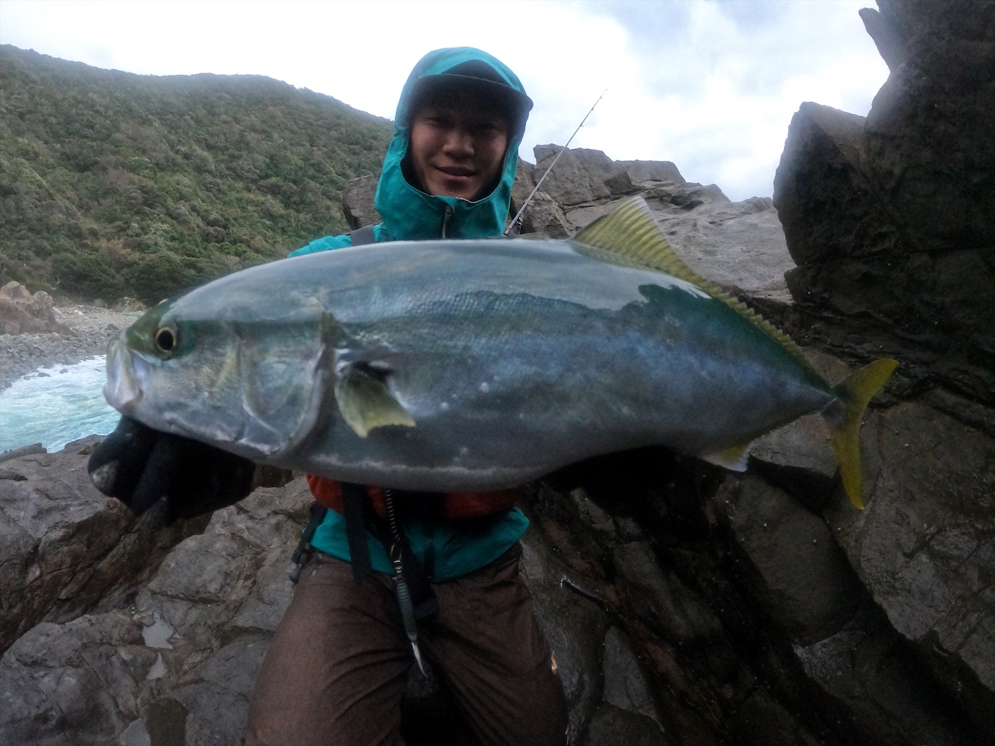f:id:slackfish:20210121210344j:image f:id:slackfish:20210121210344j:image