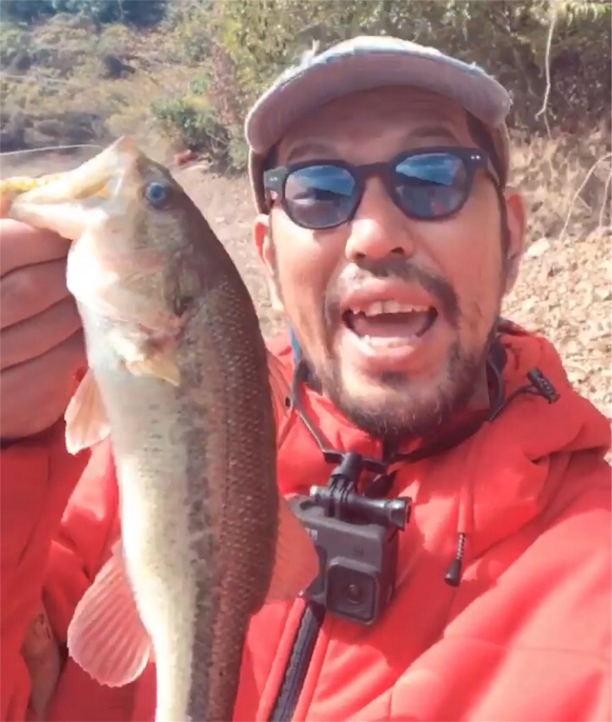 f:id:slackfish:20210121215336j:image f:id:slackfish:20210121215336j:image