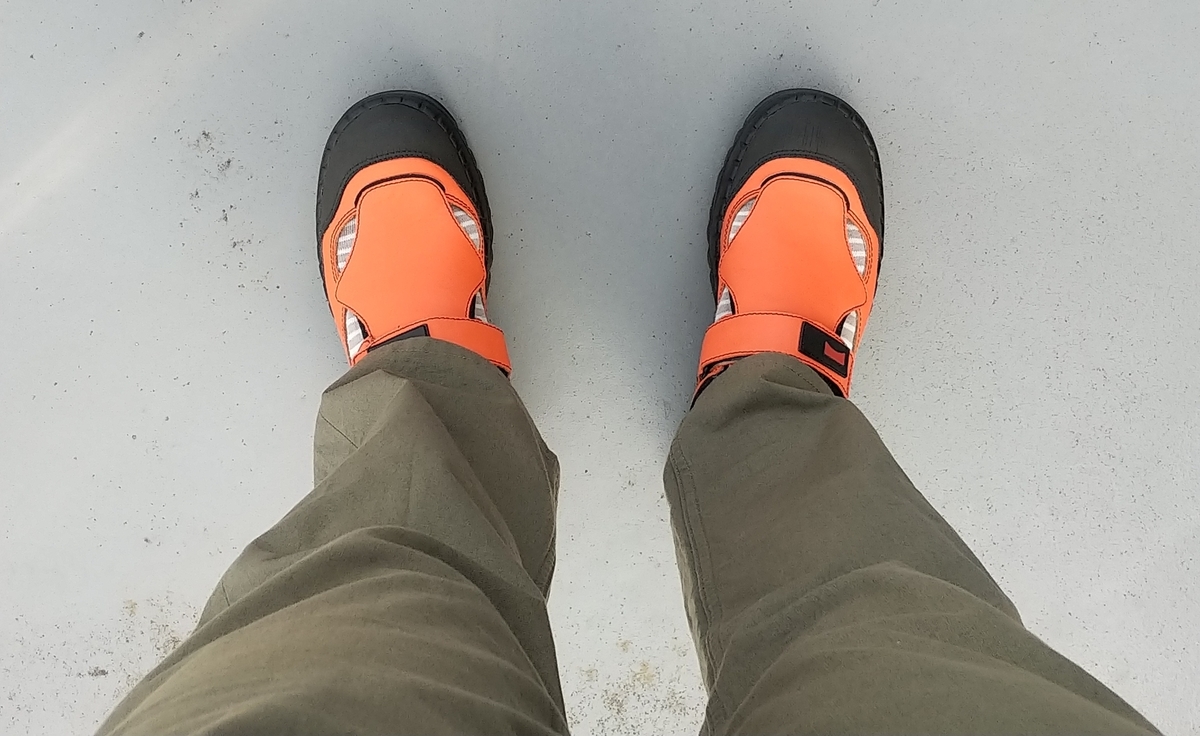 ニャンちゅうとは 一般の人気 最新記事を集めました はてな