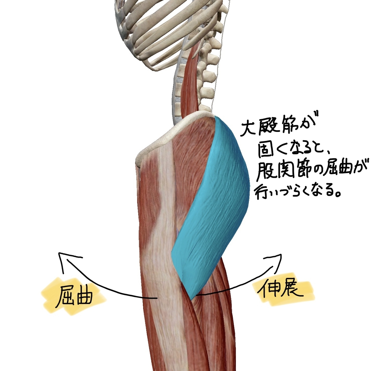 f:id:sleeeep11-su:20190821003944j:plain f:id:sleeeep11-su:20190821003944j:plain