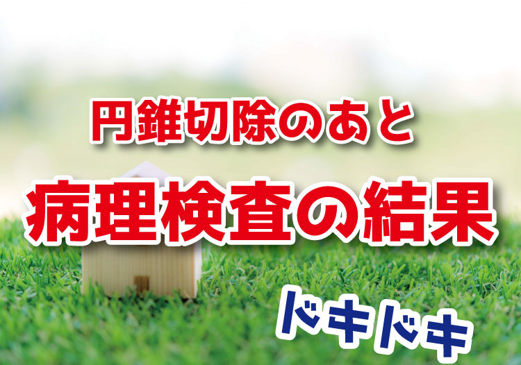 f:id:sleep33:20200416210830j:plain