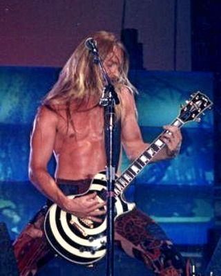 ザック・ワイルドカラーのヴィンテージアコースティックギター Zakk Wylde guitars