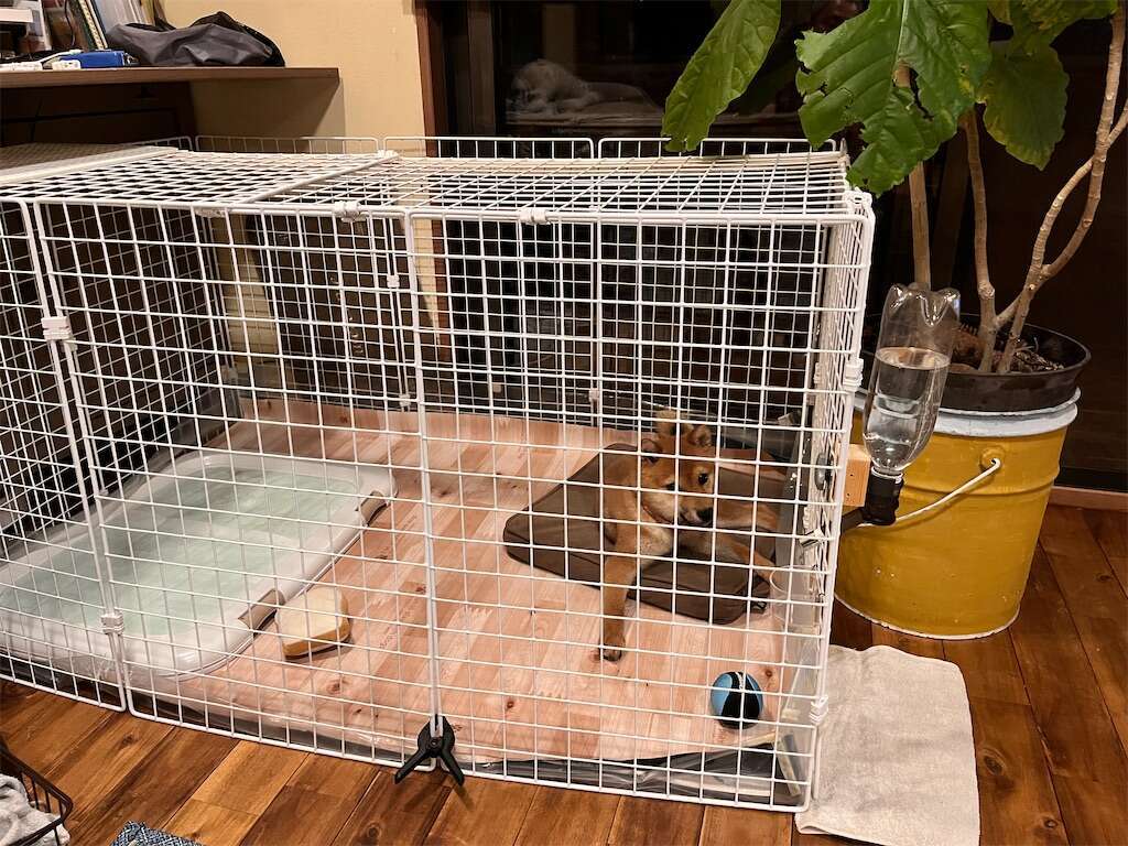 100均でわんこケージ作り - ハイエース4人家族で車中泊〜ナローボディ