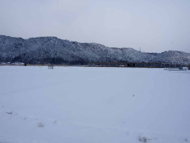 f:id:sleepysyrup:20130209100731j:image:w640 f:id:sleepysyrup:20130209100731j:image:w640