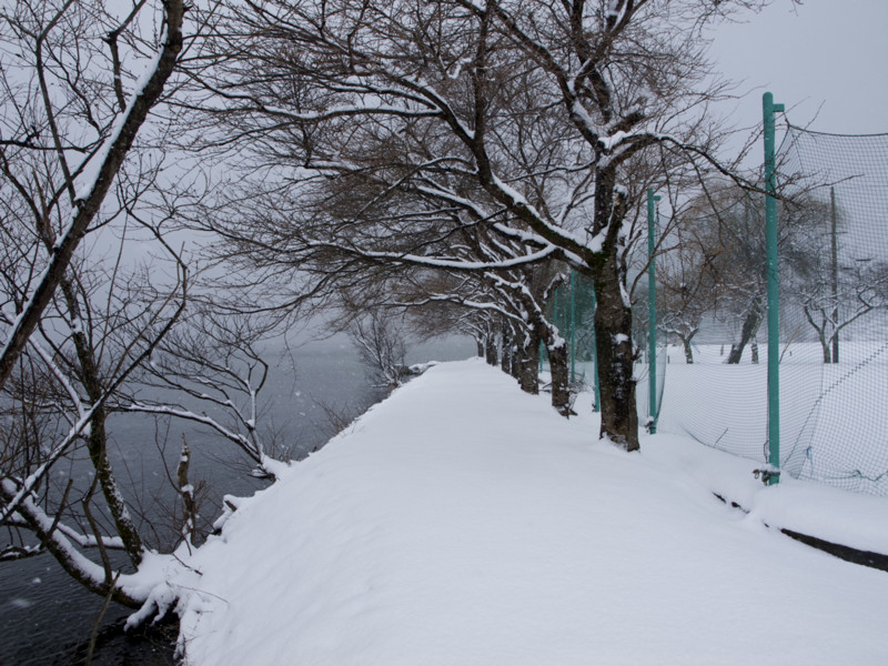 f:id:sleepysyrup:20130209104134j:image:w640 f:id:sleepysyrup:20130209104134j:image:w640