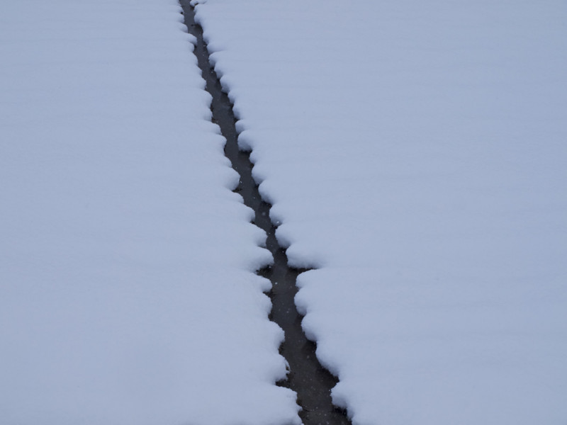f:id:sleepysyrup:20130209112135j:image:w640 f:id:sleepysyrup:20130209112135j:image:w640