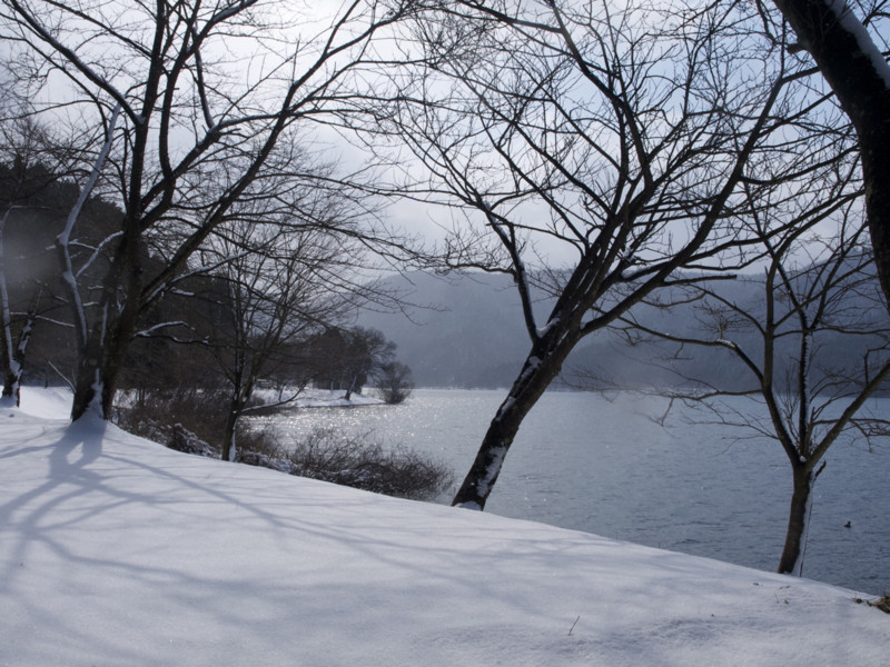 f:id:sleepysyrup:20130209134347j:image:w640 f:id:sleepysyrup:20130209134347j:image:w640