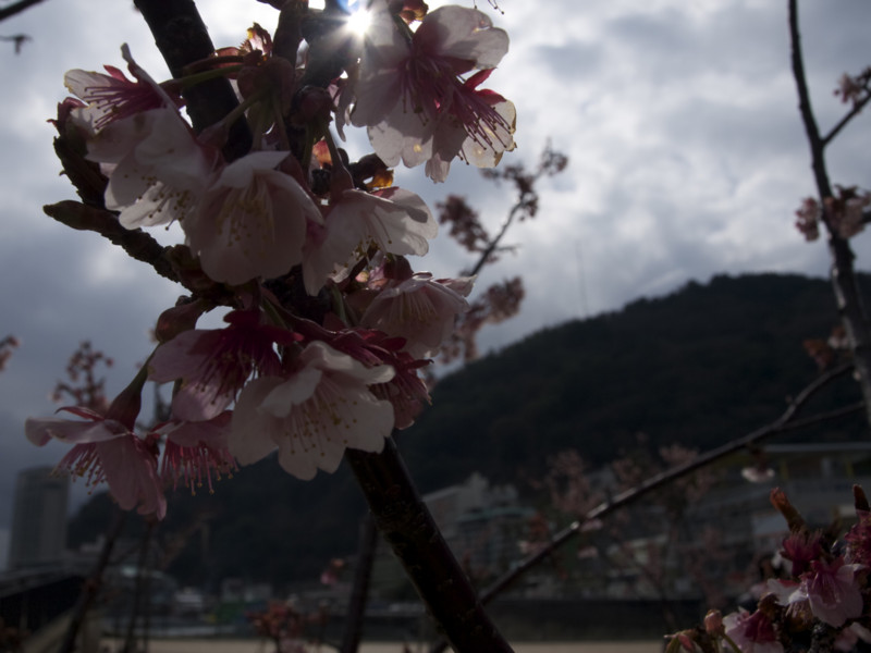 f:id:sleepysyrup:20130216102921j:image:w640 f:id:sleepysyrup:20130216102921j:image:w640