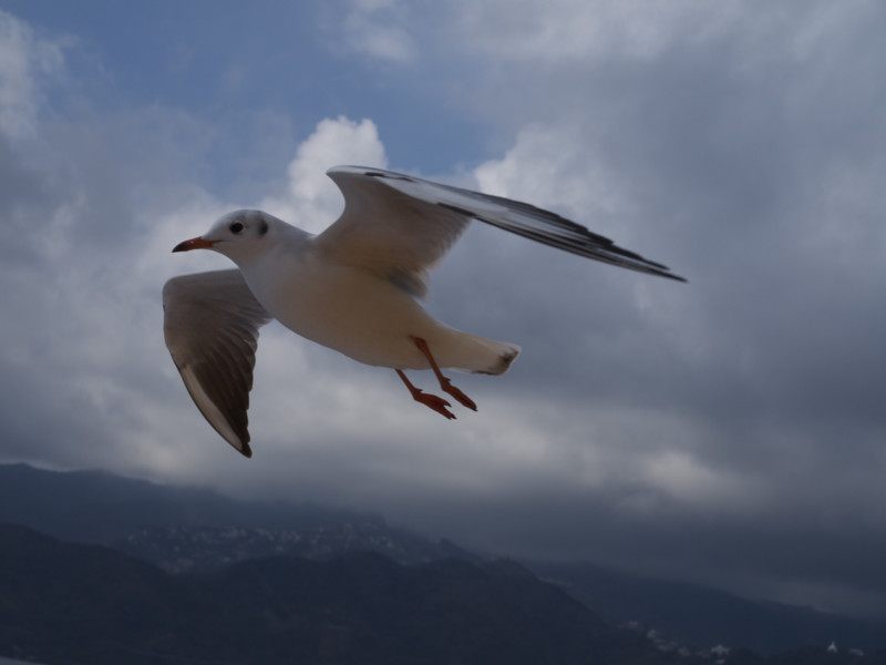 f:id:sleepysyrup:20130216120246j:image:w640 f:id:sleepysyrup:20130216120246j:image:w640