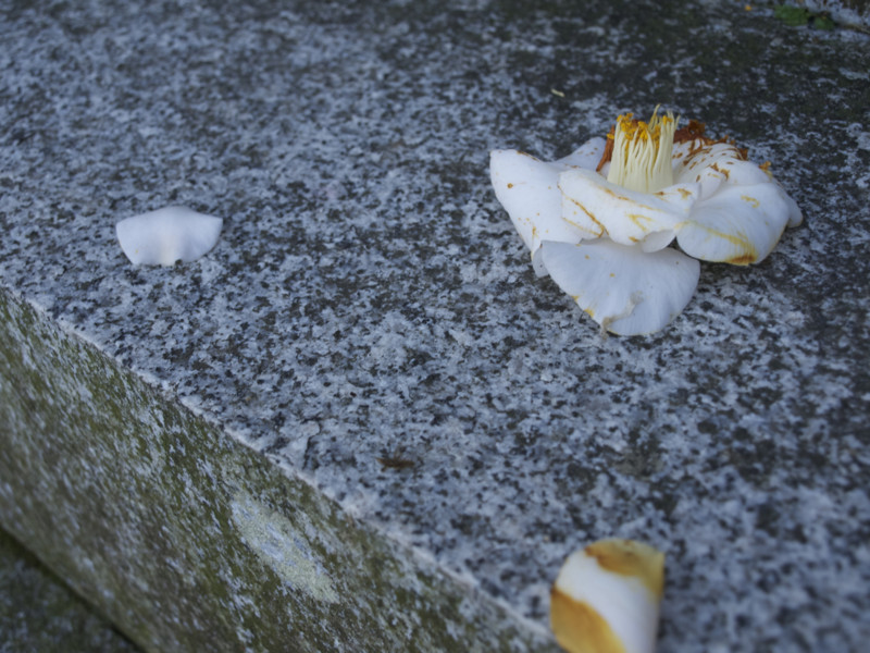 f:id:sleepysyrup:20130217073312j:image:w640