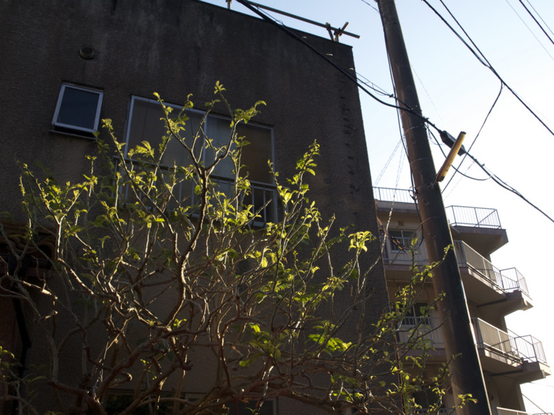 f:id:sleepysyrup:20130217073505j:image:w640