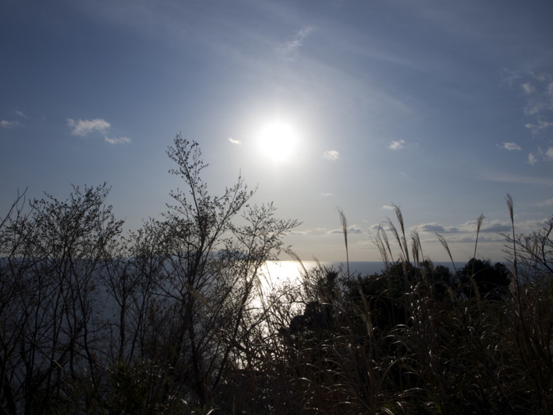 f:id:sleepysyrup:20130217074555j:image:w640