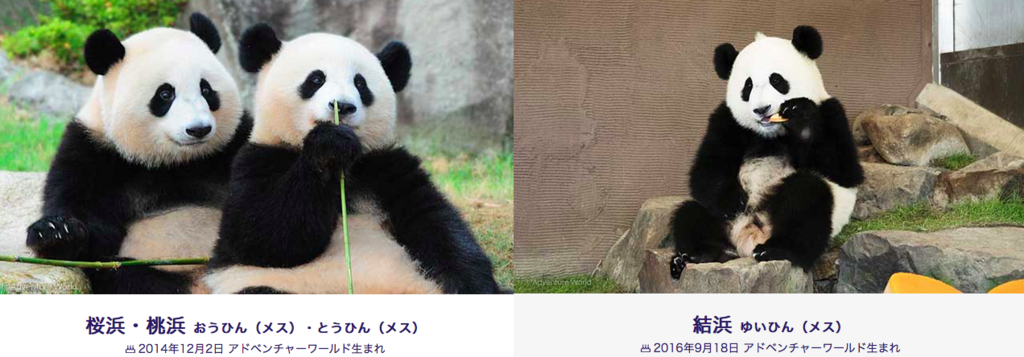 f:id:sleepytomo:20180513061506p:plain