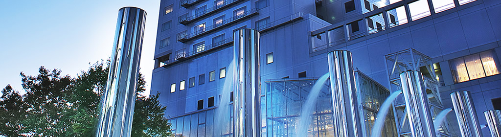 f:id:sleepytomo:20190111180220j:plain f:id:sleepytomo:20190111180220j:plain