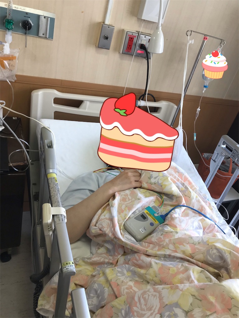 f:id:sleet3:20190413114218j:image