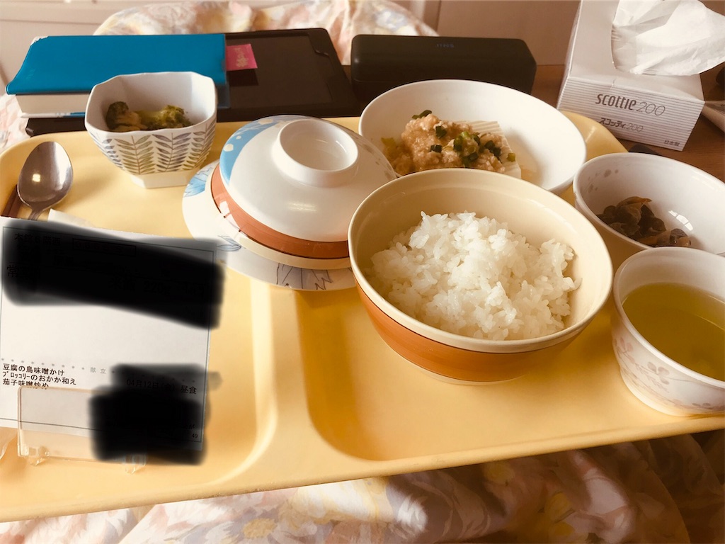 f:id:sleet3:20190413124325j:image