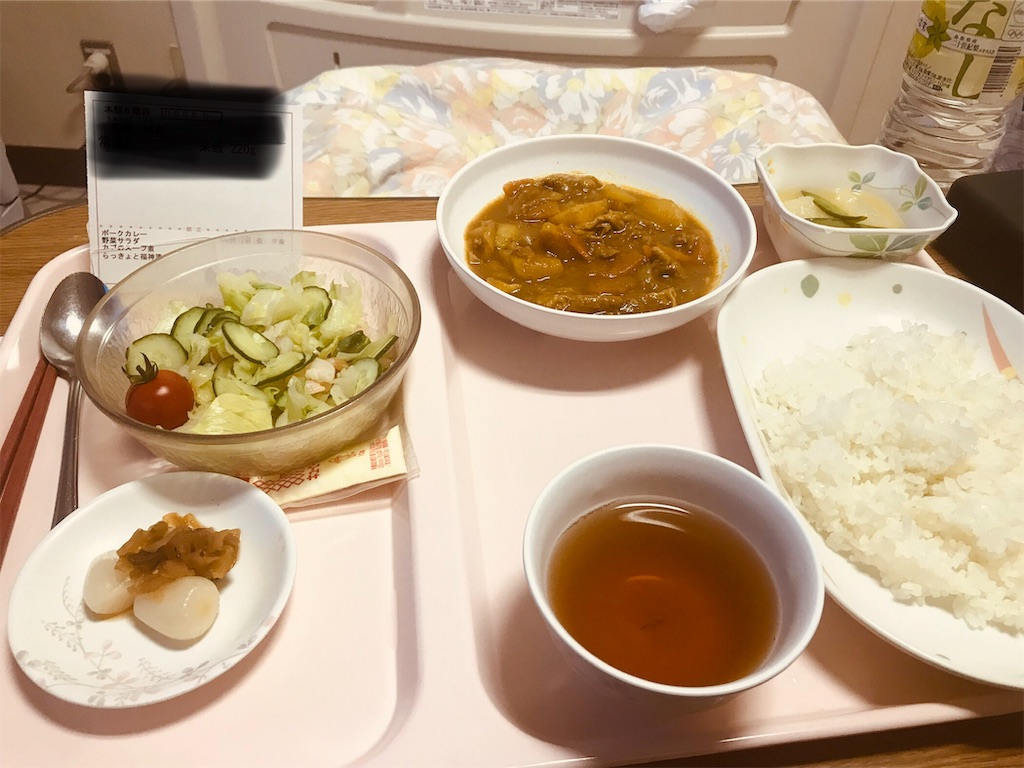f:id:sleet3:20190413125543j:image