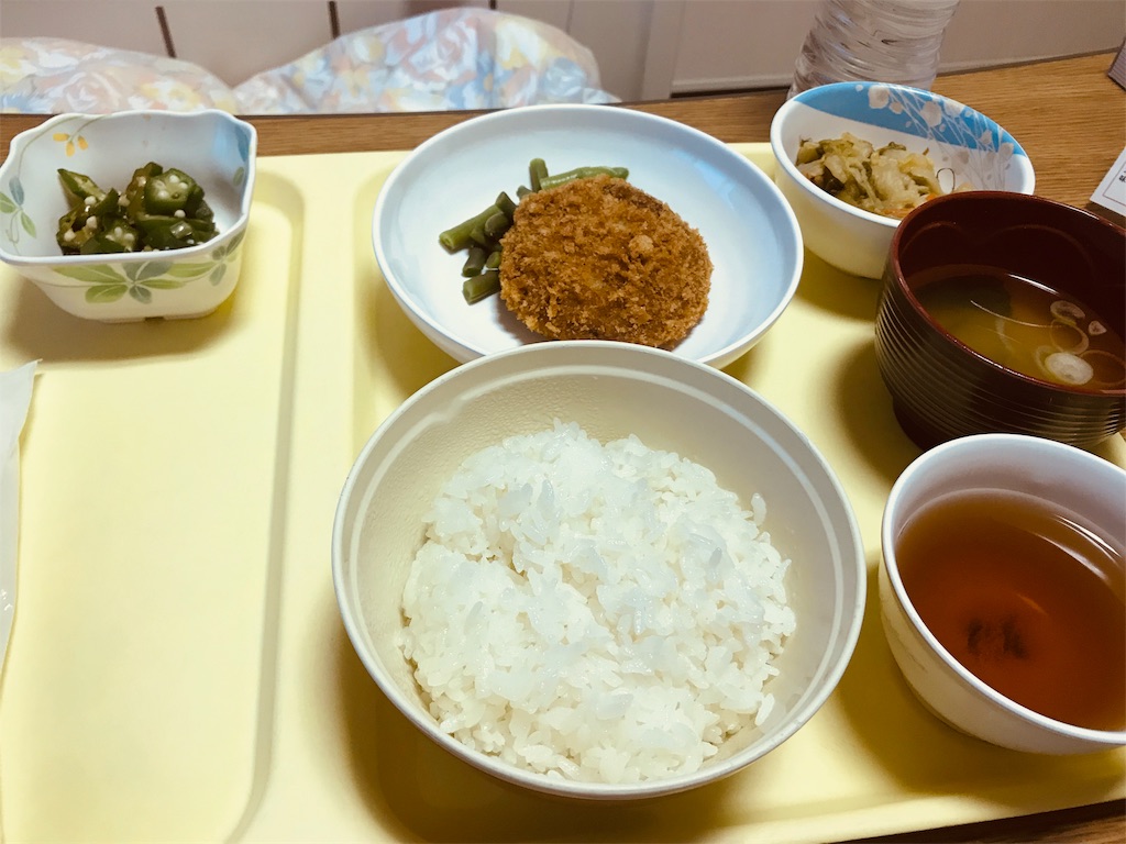 f:id:sleet3:20190413181523j:image
