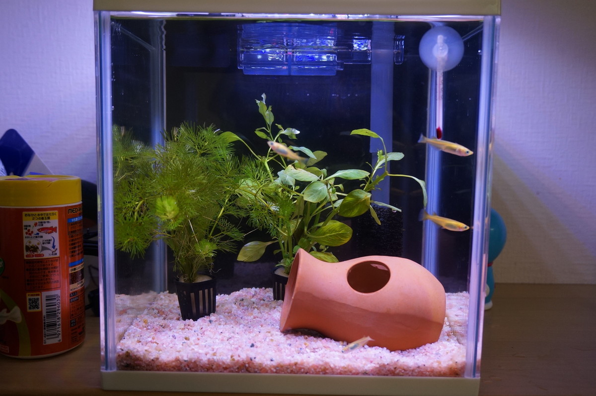 f:id:slideglide:20190715003252j:plain