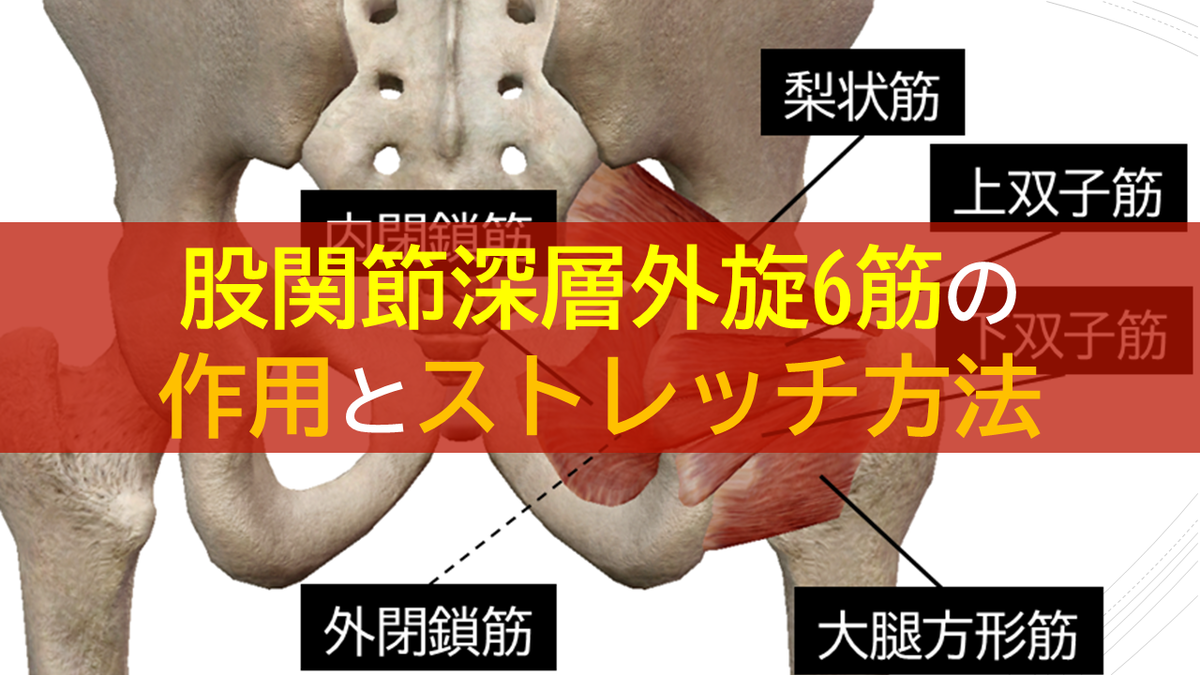f:id:slidestretch:20191020210500p:plain f:id:slidestretch:20191020210500p:plain