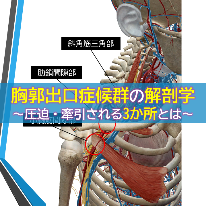f:id:slidestretch:20191110164733p:plain f:id:slidestretch:20191110164733p:plain