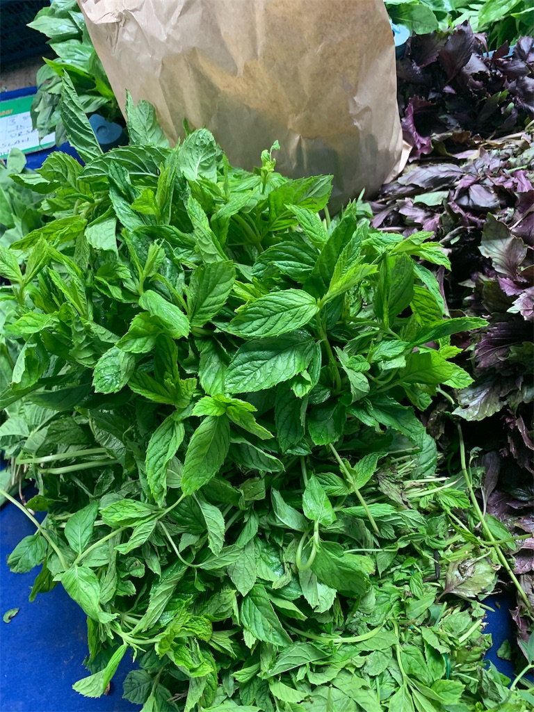 f:id:slimsugar:20190728135930j:image f:id:slimsugar:20190728135930j:image