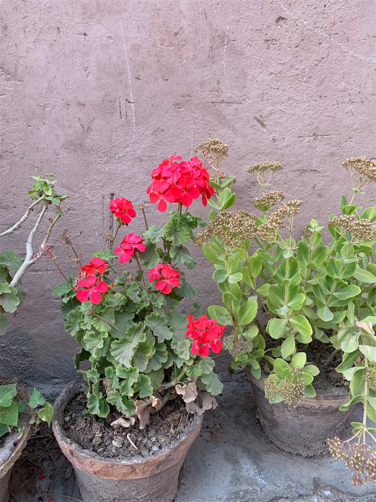 f:id:slimsugar:20190928124730j:image f:id:slimsugar:20190928124730j:image