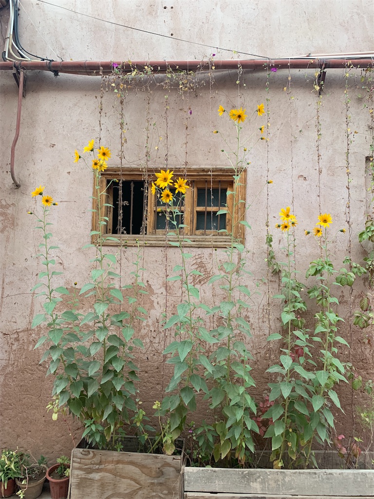 f:id:slimsugar:20190928124817j:image f:id:slimsugar:20190928124817j:image