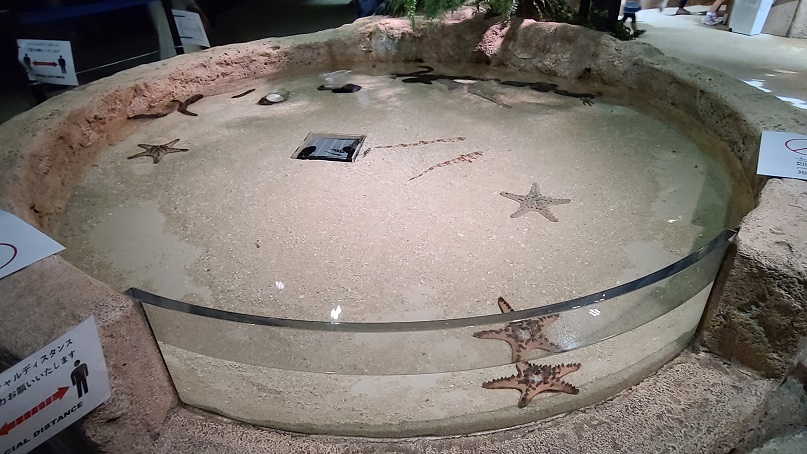 f:id:slips:20201009003422j:plain f:id:slips:20201009003422j:plain