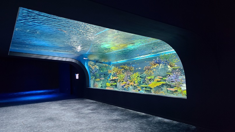 f:id:slips:20201009003747j:plain f:id:slips:20201009003747j:plain