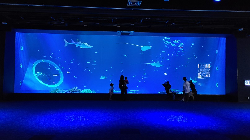 f:id:slips:20201009003820j:plain f:id:slips:20201009003820j:plain