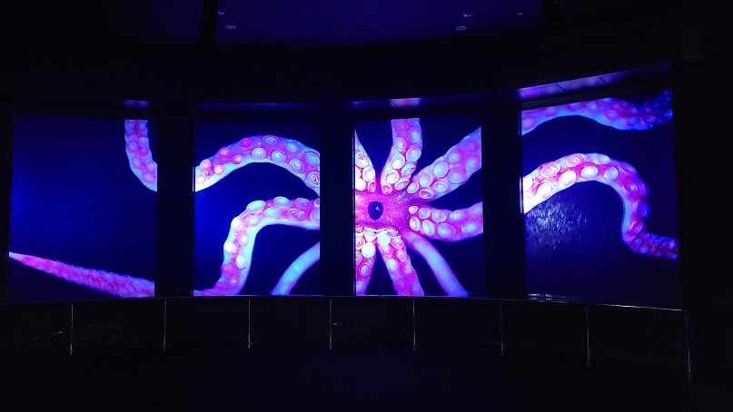 f:id:slips:20201009003904j:plain f:id:slips:20201009003904j:plain