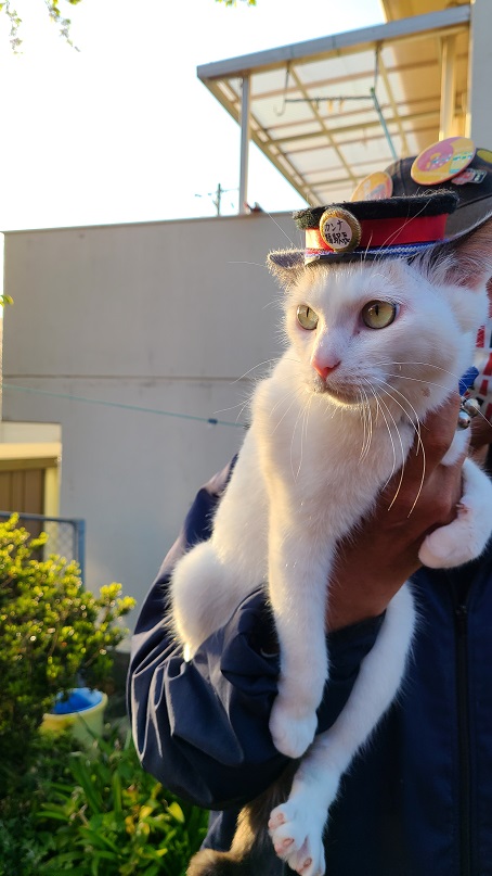 f:id:slips:20210427234238j:plain