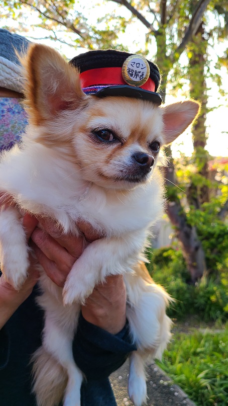 f:id:slips:20210427234336j:plain