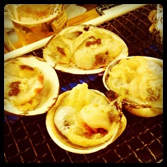 f:id:sloth-blog:20110525023310j:image
