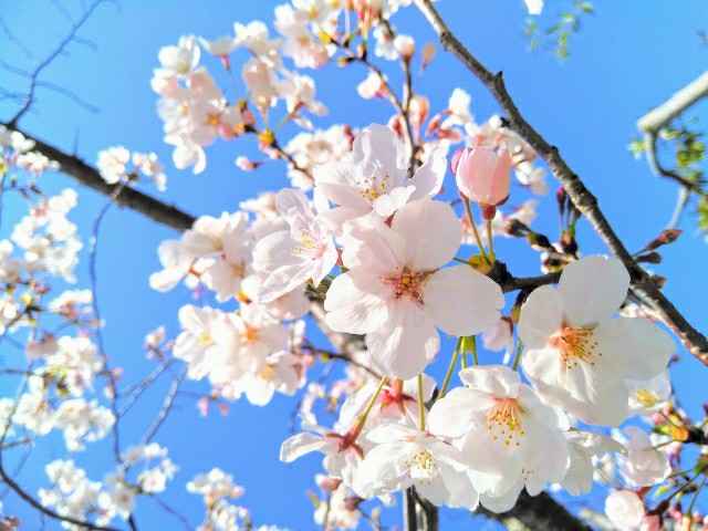 f:id:sloth0106:20200313210024j:image f:id:sloth0106:20200313210024j:image