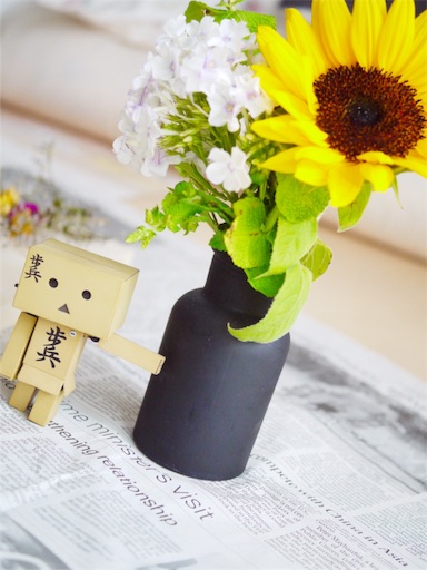 f:id:slowdownslow:20160810214534j:image:w300 f:id:slowdownslow:20160810214534j:image:w300