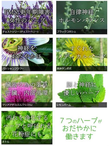 f:id:slowdownslow:20170603153522j:image f:id:slowdownslow:20170603153522j:image