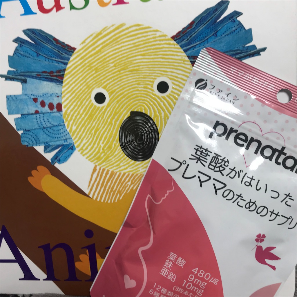 f:id:slowdownslow:20181117145213j:image