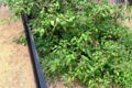 f:id:slowgoing:20140120091541j:image:medium:left