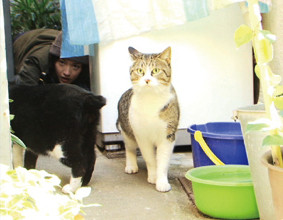 f:id:slowlearner_m:20090628022248j:image