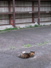 f:id:slowlearner_m:20090712182025j:image