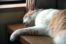 f:id:slowlearner_m:20090716141303j:image