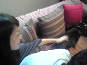 f:id:slowlearner_m:20090919170100j:image