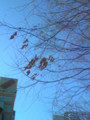 20091229140700
