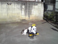 20100105123500