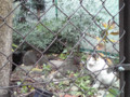 20100122115600