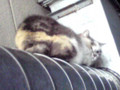 20100129203100