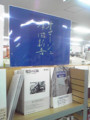20100415195200