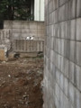 20101015121929